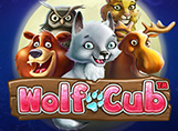 'Wolf Cub'